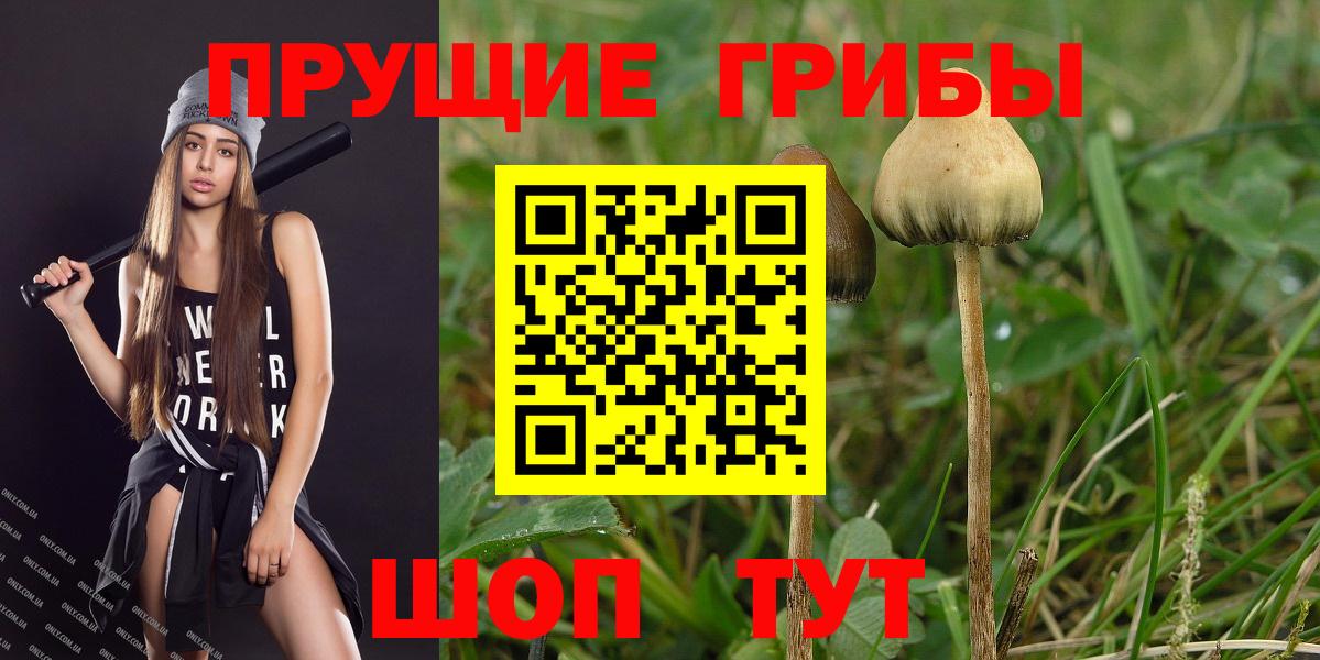 как найти   Вход с VPN  Алапаевск  Галлюциногенные грибы MAGIC MUSHROOMS 